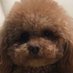 果爸 (@guoguodediema) Twitter profile photo 果爸 (@guoguodediema) Twitter profile photo