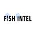 FISH INTEL (@fish_intel) Twitter profile photo