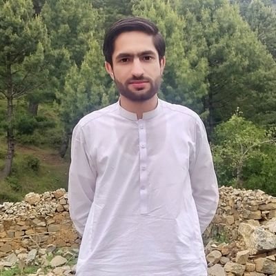 HamidAnsariPAK's profile picture. Islamist | Analyst🤔 - Actually a Reformist ..