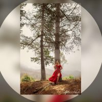 María Cristina Meneses Sotomayor (@mcmenesess) 's Twitter Profile