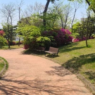 sk42oujkJ5M25Vd's profile picture. 