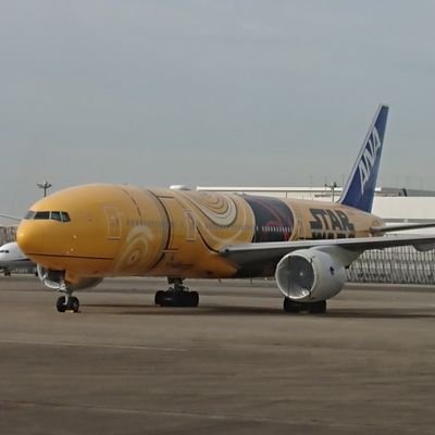 ろーずごーるどさんのプロフィール画像