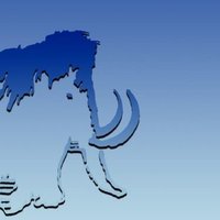 CSFA (@csfa_tamu) 's Twitter Profile Photo