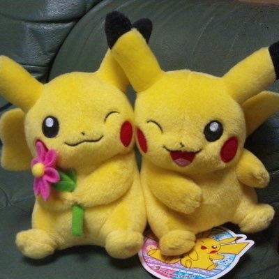 リィはピカチュウと旅に出る Pikastarmine Twitter リィはピカチュウと旅に出る Pikastarmine Twitter