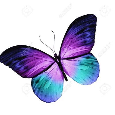 MrsPez21's profile picture. Nanny to 3 grandbabies. Child educator. Veg and flower grower. Lover of books, outdoors, physical and mental well being, netball and all sports.