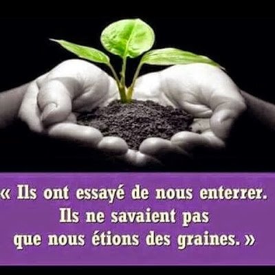 PascalLeNoir3's profile picture. 