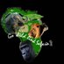 Go wild link safaris (@gowildlinkstour) Twitter profile photo