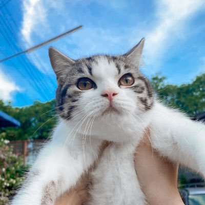 nnaamm_m's profile picture. call you mine