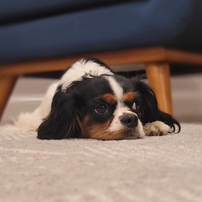 18, he/him. networking and systems geek posts are (usually) synced to bsky automagically: https://t.co/EVametRVra