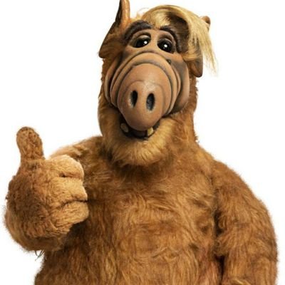 orangorango1's profile picture. Precisando de algo é noisxxx