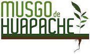 100% Orgánico y ecológico.Producto vegetal utilizado en jardines verticales y absorbente de derrames, recolectado sustentablemente.