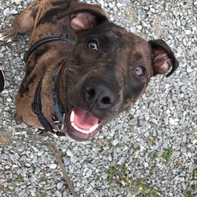 justskp's profile picture. an east coast kid.