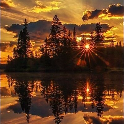 ‏‏محمد عبده محمد زيدان