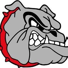 St. Clair High School Profile