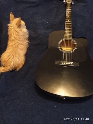 RomaldoArce6's profile picture. La música y la tecnología