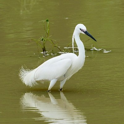 RajpriyaB's profile picture. Have faith.
grateful to God🙏