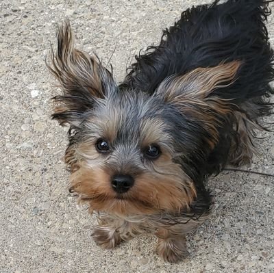 Jeffjt13's profile picture. 