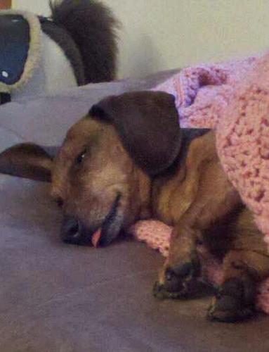 emilyw234's profile picture. 