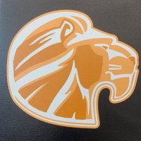 McKinzey Athletics(@McKinzeyLions) 's Twitter Profile Photo