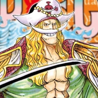 for whitebeard pirates