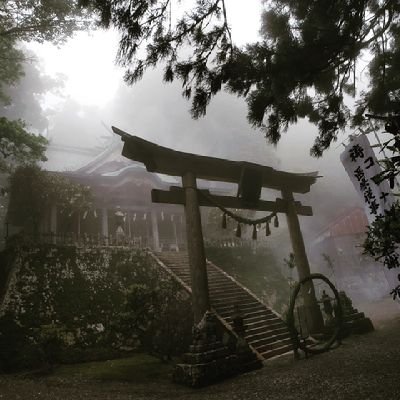 住みながら観光する、神社巡りをする、釣り（川・磯フカセ）をする。

他に、自然農法で野菜作りをする、コーヒー豆の焙煎・ビール作り・燻製作りをする。ブレスレット作りもしてます。

さらに、エネルギーワークも楽しんでます。