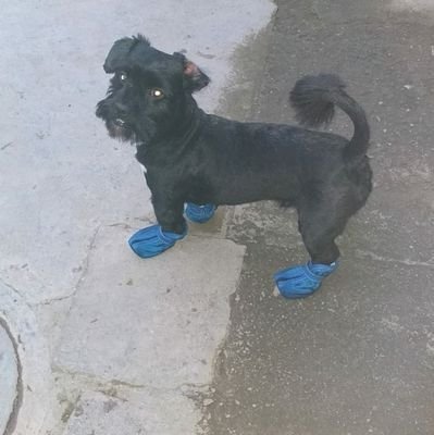 harry_america's profile picture. 