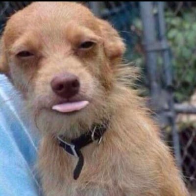 Sahh_lim's profile picture. 