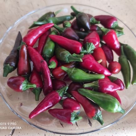 Mehmety75569751's profile picture. Kime ne bizden