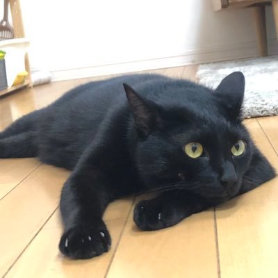 M7rIm0tAClFzXCf's profile picture. いろいろ書き留めてみたい。 自己愛性人格障害の夫と協議離婚。 お見合い結婚後、経済DV、モラハラ、暴力の夫を、やっとこさ、慰謝料無し養育費無しの条件で切り離しに成功。息子2人。#自己愛性人格障害 #モラハラ