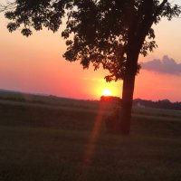 Brian Ternus (@btagronomy) 's Twitter Profile