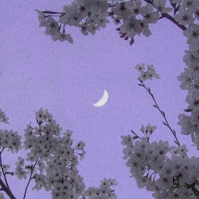 losokn's profile picture. :D