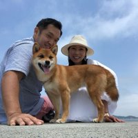 藤本怜央 (@reokyon) 's Twitter Profile
