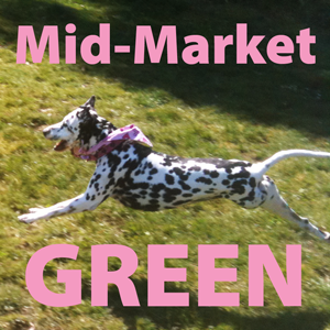 MidmarketGreen's profile picture. Working to bring green space to downtown San Francisco