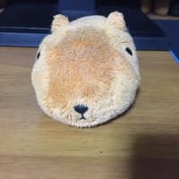 まーくん (@masazonn) 's Twitter Profile