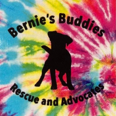 Bernies_Buddies Profile Picture