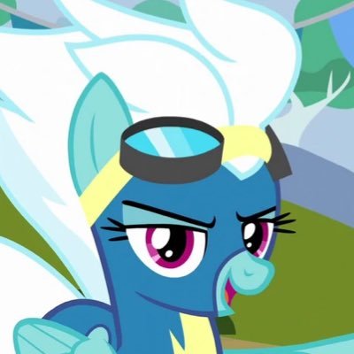 Wonderbolts Lieutenant Commander. Fast. Cool. Does barrel rolls. What more do you want to know? ((EST (GMT-5); RP heavy account))