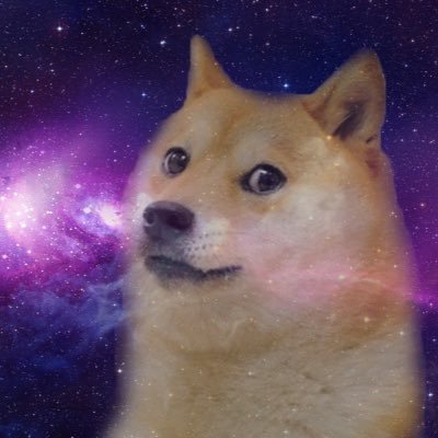 doge_hodlin Profile Picture