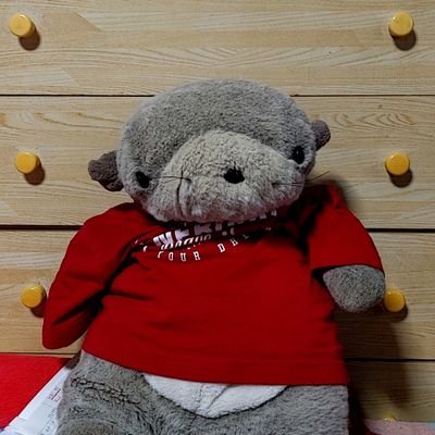 パンダ🐼🐼🐼大好き❤動物好き❣️Twitter初心者で不慣れです。失礼があったら、すみません🙇
DM❌️🙅すみません🙇