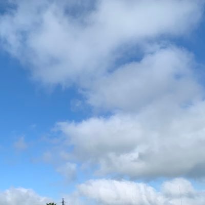 地雷なし‼︎よくわからないけど腐に入り込んでいたオタク。20↑
