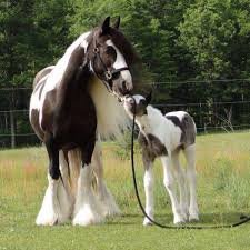 mohamed80569523's profile picture. 