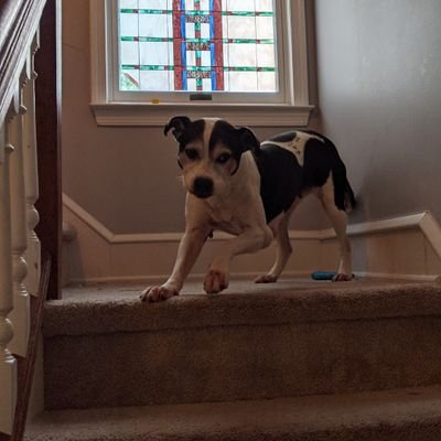 HyperlightF's profile picture. gamer