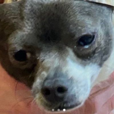 shitbox78's profile picture. producer and youtuber kinda