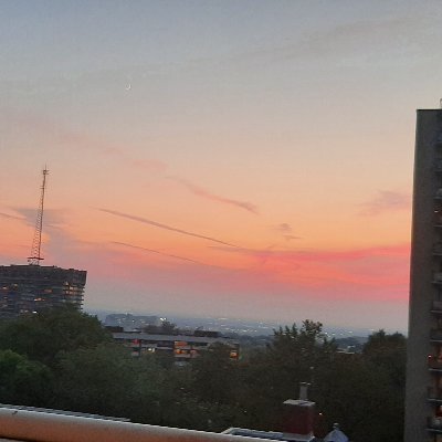 MahnazDarvishy's profile picture. 😀