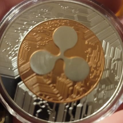 tdzbikowicz's profile picture. Easy