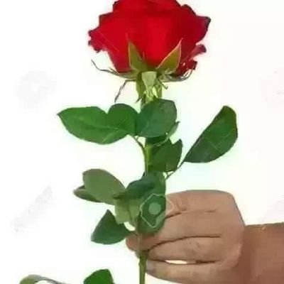 V91cAFIbSsgG52s's profile picture. احب الثقه في النفس.