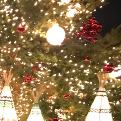 alan0804chan's profile picture. 