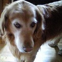 reti (@reti) Twitter profile photo