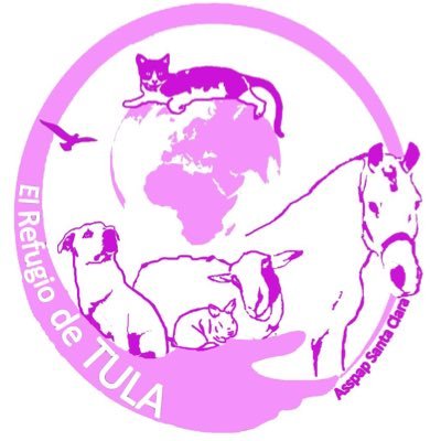 Refugio de Animales - Sagunto (Valencia) - !! NO COMPRES !! ADOPTA !! PAYPAL: todoperreras@gmail.com TEAMING https://t.co/4TUKFQHnk9