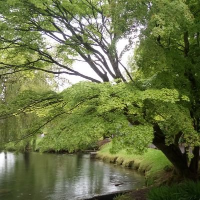 Maryrou4's profile picture. 