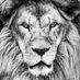 Drago (@dragosilverback) Twitter profile photo Drago (@dragosilverback) Twitter profile photo